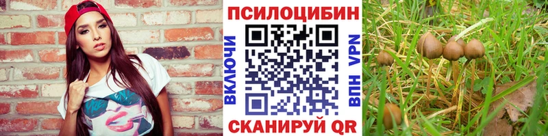 Галлюциногенные грибы ЛСД дарнет шоп Старая Купавна